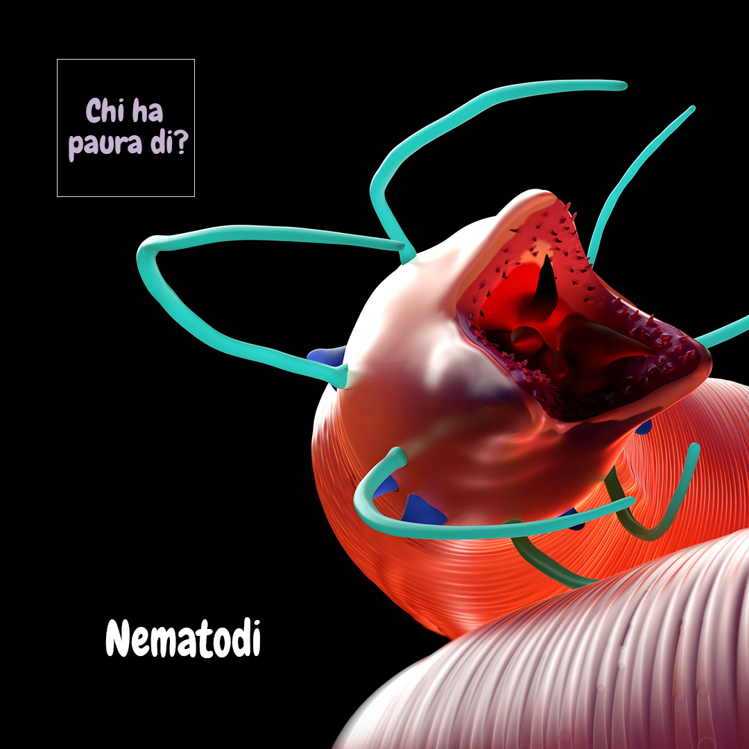 Nematodi