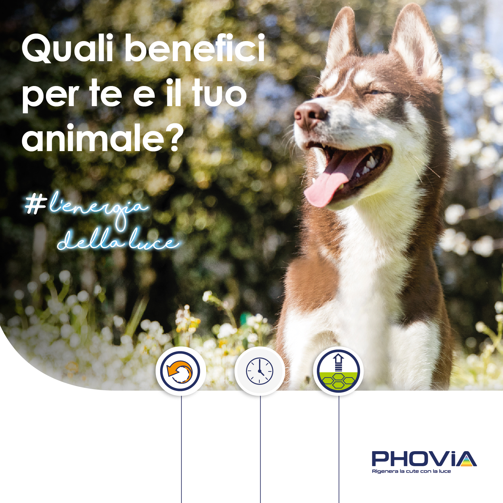 Quali benefici per te e il tuo animale?