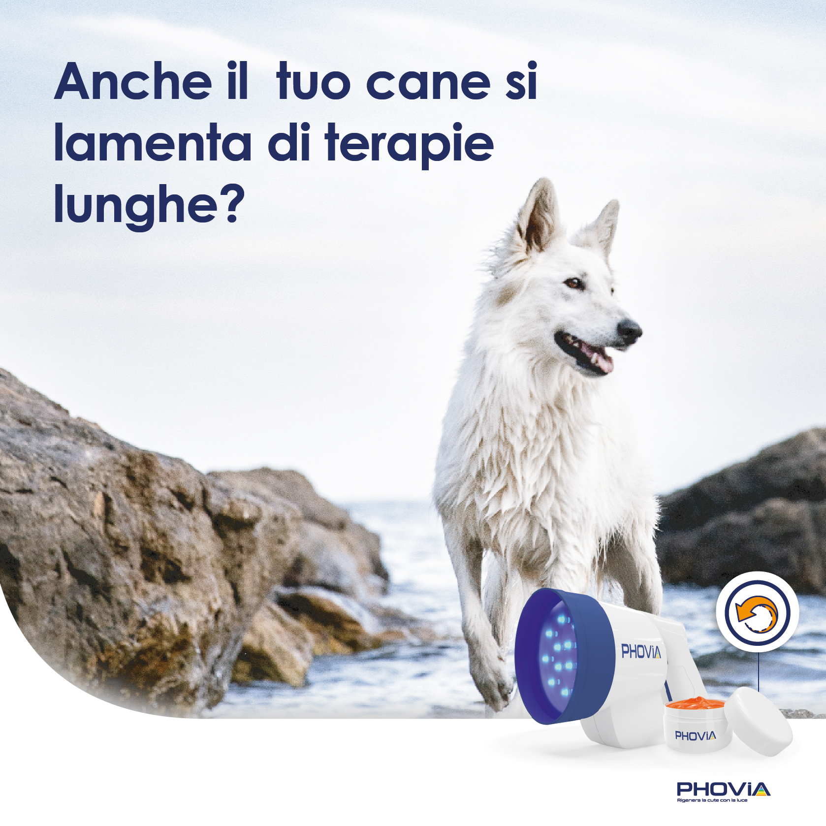 Anche il tuo cane si lamenta di lunghe terapie?