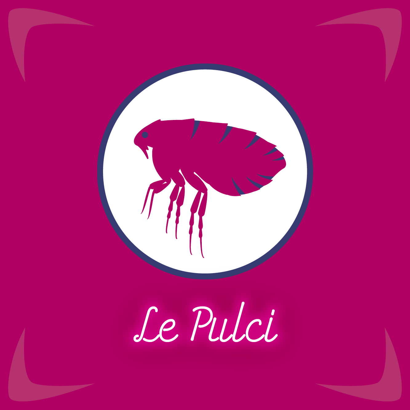 Pulci